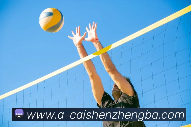 彩神争霸平台生态图